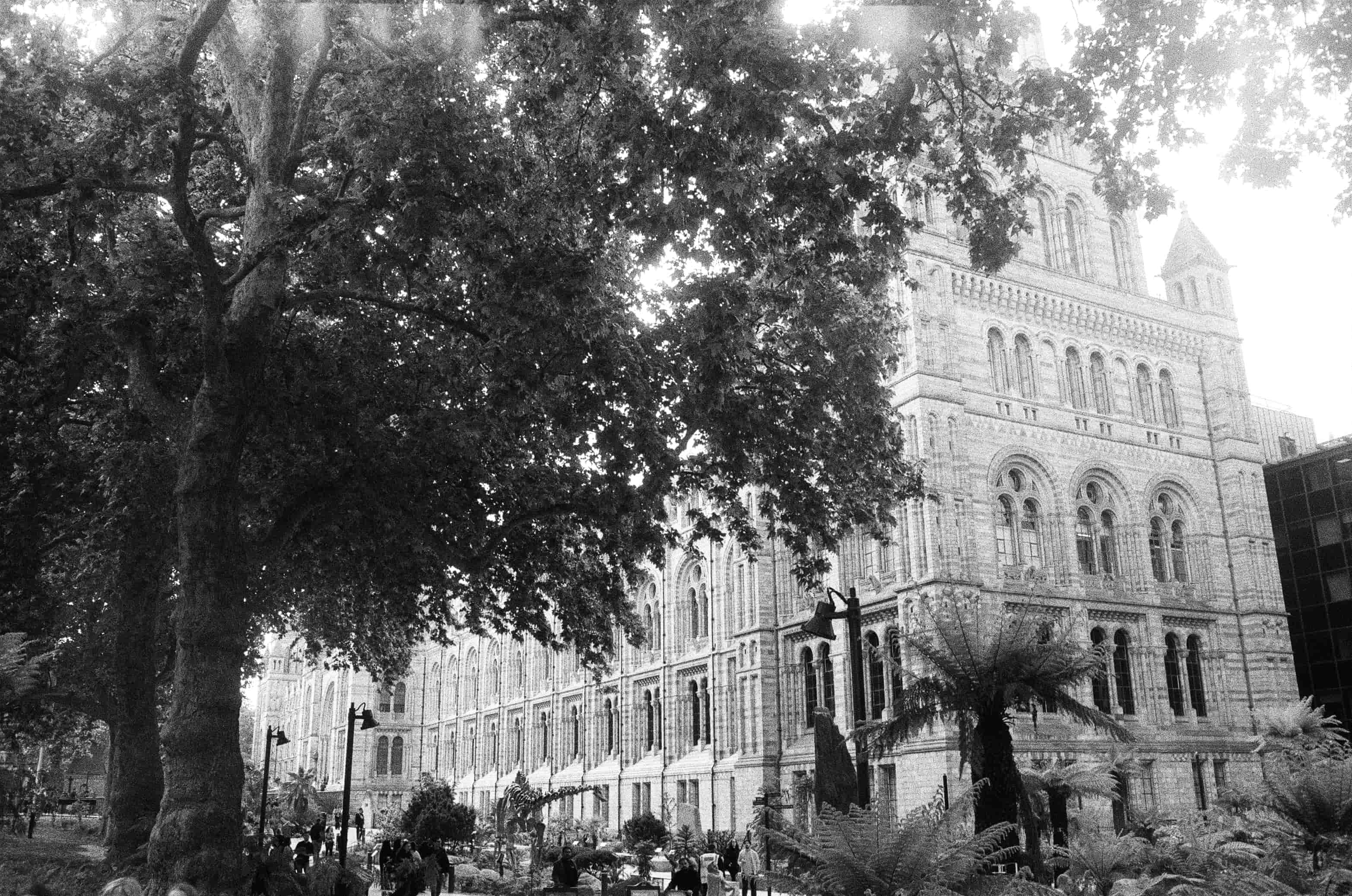 The Natural History Museum: An Outside View